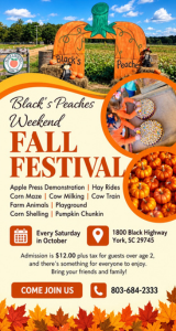 Fall Festival Black Peaches Farm 2026